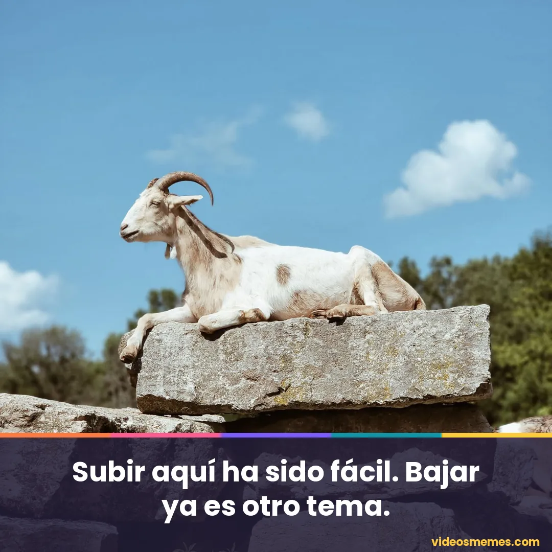 Cabra de pie sobre una roca con la frase: subir ha sido fácil, bajar ya es otro tema