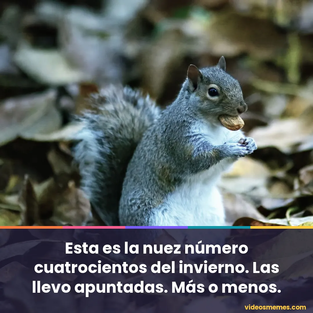 Ardilla sujetando una nuez con la frase: esta es la nuez número cuatrocientos del invierno