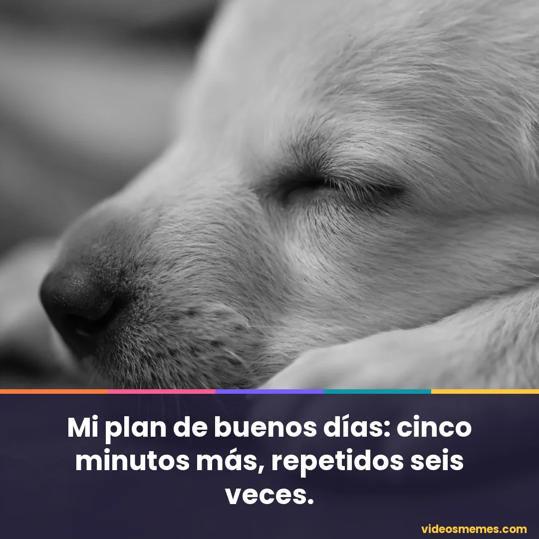 Perro dormido en la cama bajo una manta con la frase: cinco minutos más, repetidos seis veces