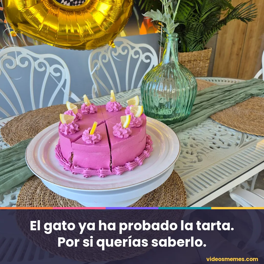 Gato junto a una tarta de cumpleaños con la frase: el gato ya ha probado la tarta